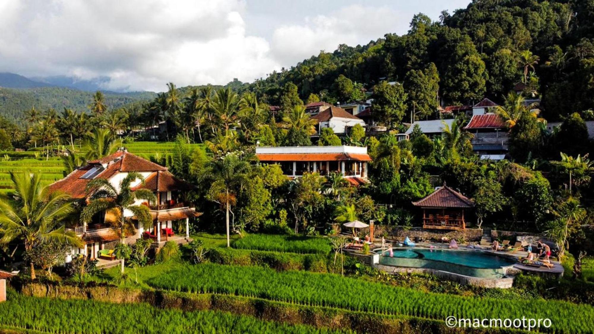 Lesong Hotel And Restaurant Munduk  Exterior photo