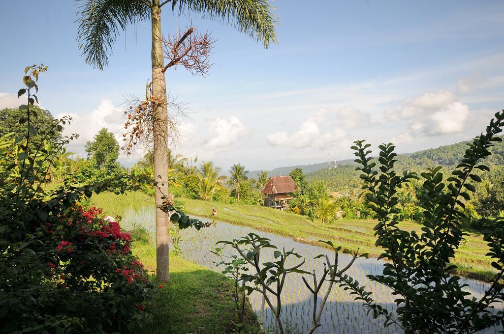 Lesong Hotel And Restaurant Munduk  Exterior photo